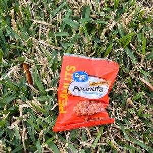 Orange Dry Roasted Peanuts